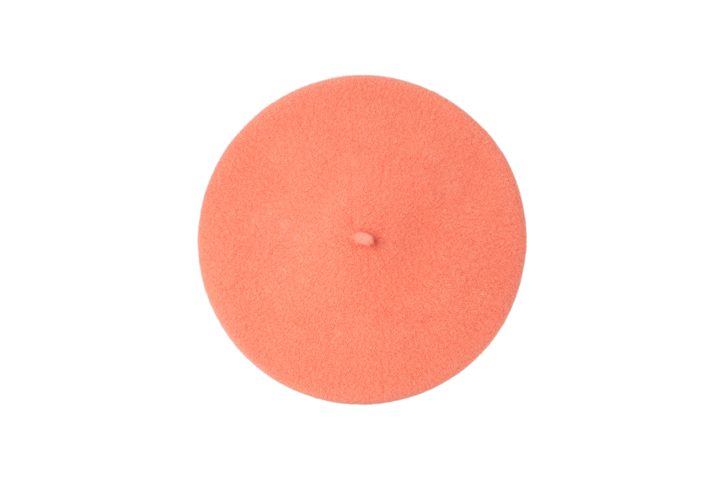 PARIS salmon / last piece