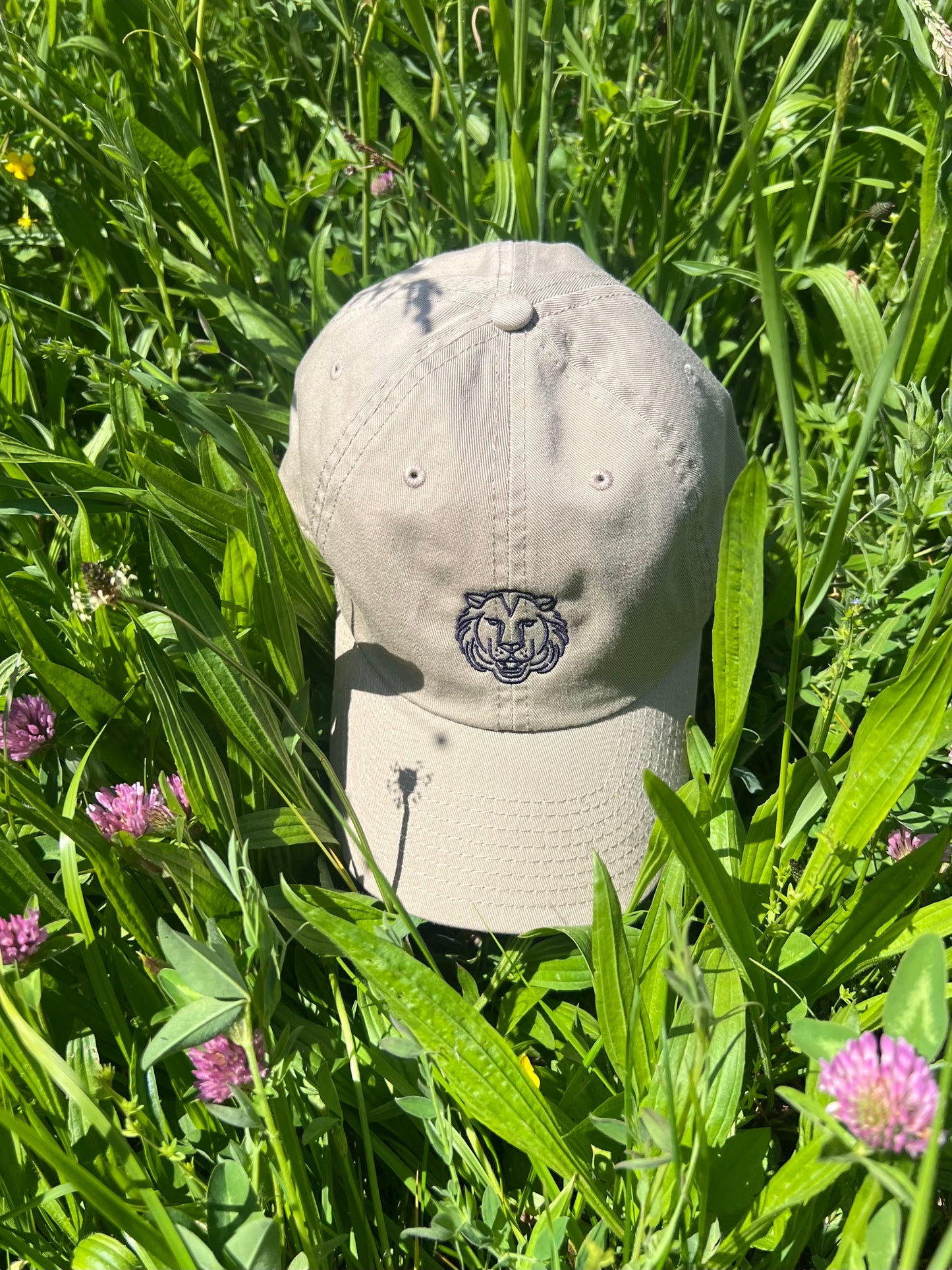 CHICAGO beige
